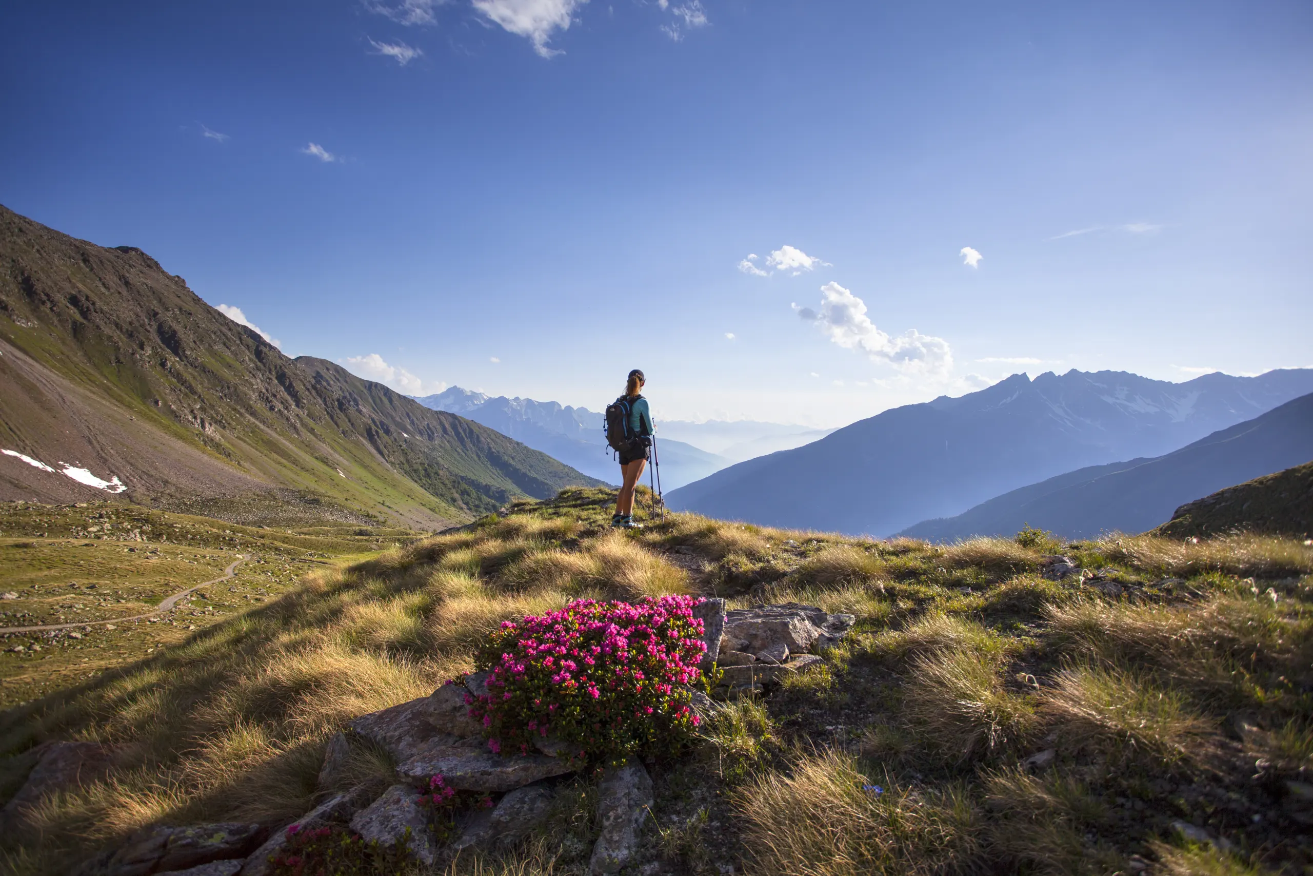 Turystka z kijkami trekkingowymi podziwiająca panoramę gór w Ponte di legno-Tonale.